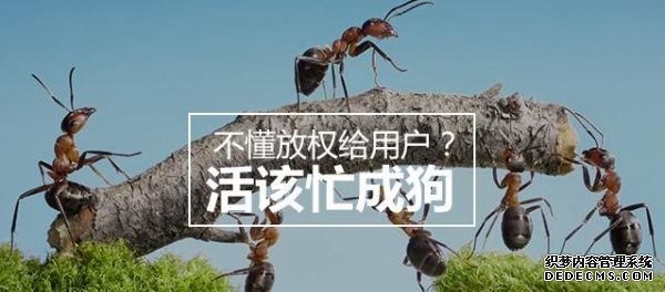 不懂放权给用户？活该忙成狗丨运营秘籍教你如何四两拨千斤！